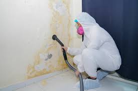 Biohazard Mold Removal in Cambridge, WI